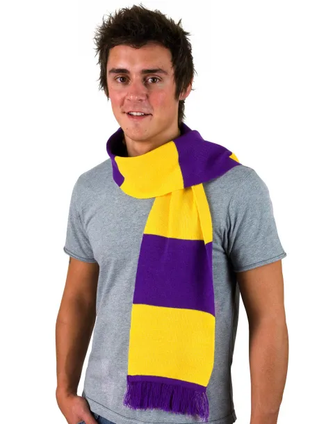  Team Scarf - Result Winter Essentials