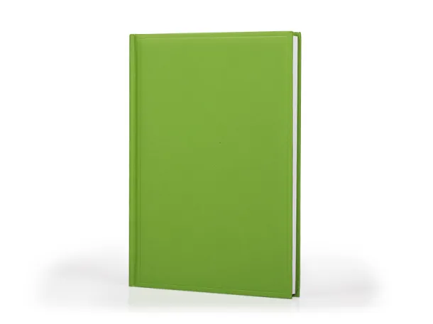 ISLAND B5 notebook Kiwi