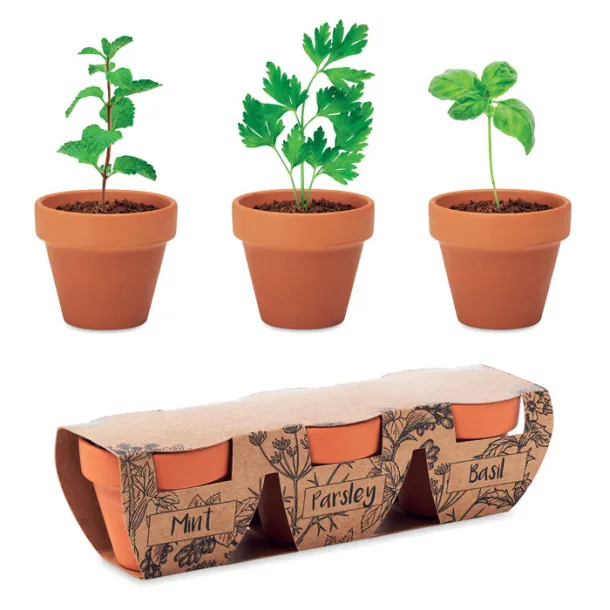 FLOWERPOT Terracotta 3 herb pot set Wood