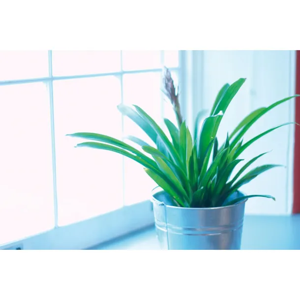 GARDENIA set alata za vrtlarenje Bež