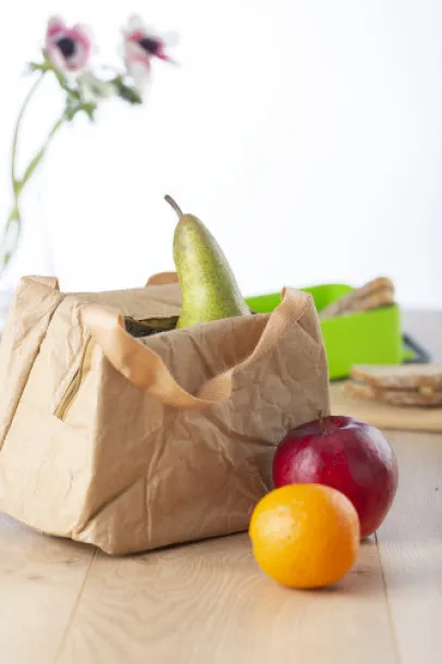  Kraft paper cooler bag Callen