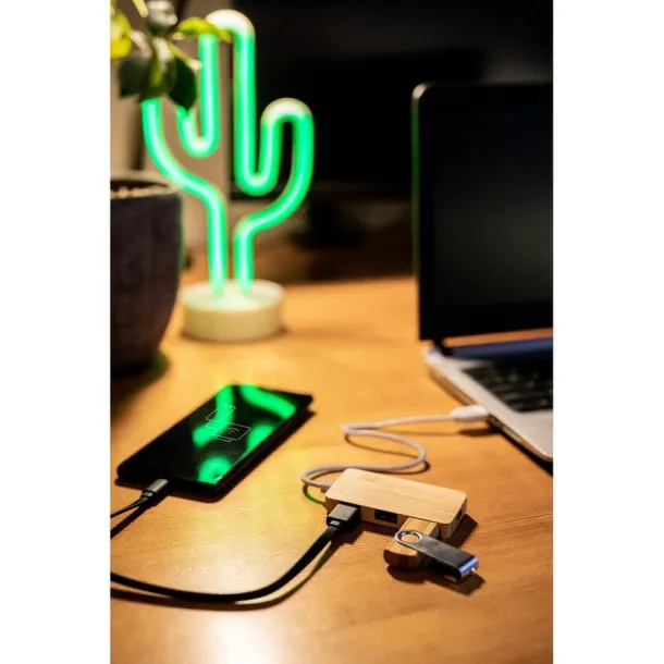 Kenzie Bamboo USB and USB type C hub B'RIGHT wood