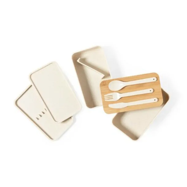  Lunch boxes 2 pcs, 2x700 ml, cutlery neutral