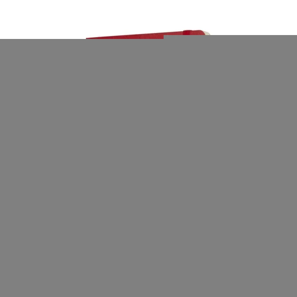  MOLESKINE notes, cca A5 Crvena