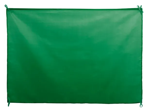 Dambor flag Green