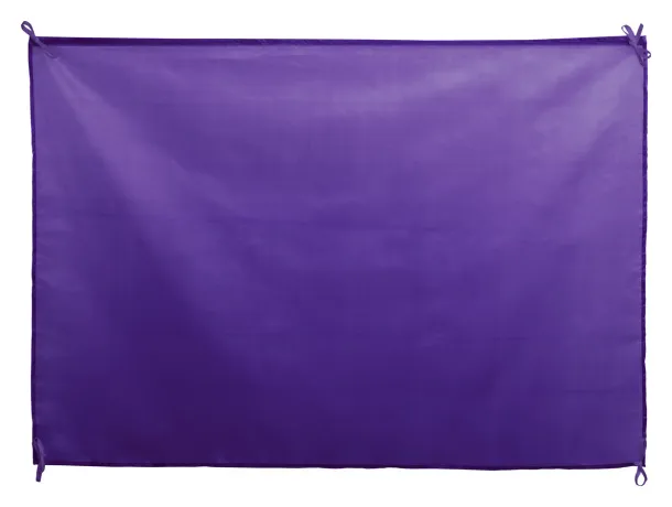 Dambor flag Purple