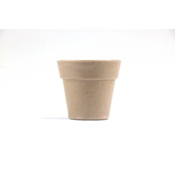  Flower pot, 5-8 petunia seeds and soil neutral