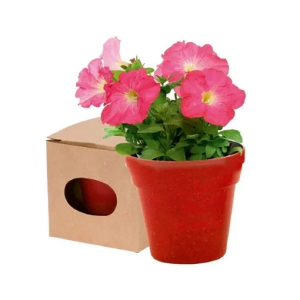  Flower pot, 5-8 petunia seeds and soil red