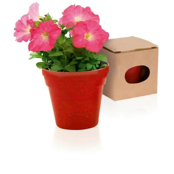  Flower pot, 5-8 petunia seeds and soil red