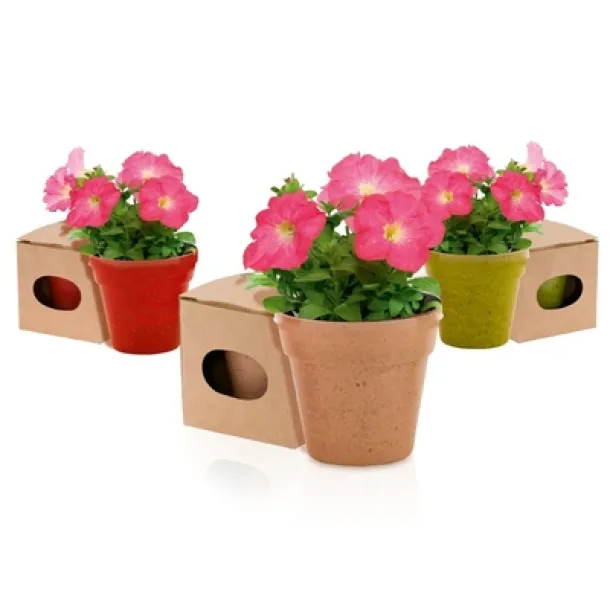  Flower pot, 5-8 petunia seeds and soil 45533C