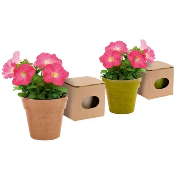  Flower pot, 5-8 petunia seeds and soil 45533C