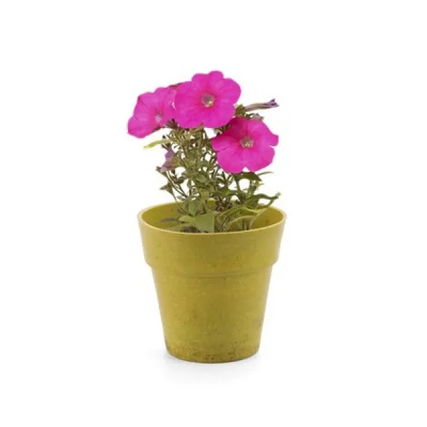  Flower pot, 5-8 petunia seeds and soil 45533C