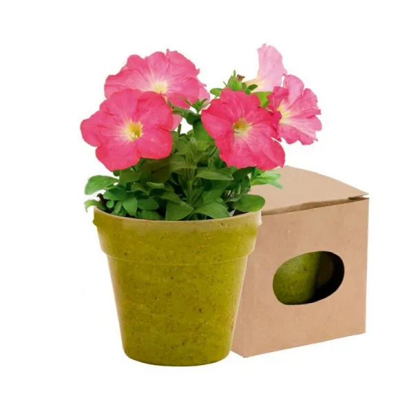  Flower pot, 5-8 petunia seeds and soil 45533C