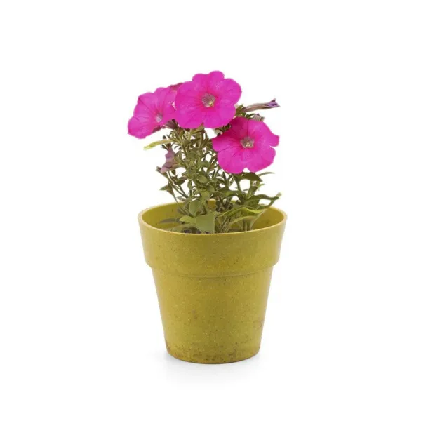  Flower pot, 5-8 petunia seeds and soil 45533C