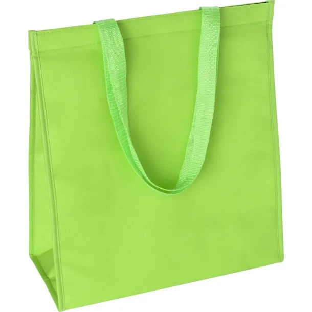  Cooler bag light green