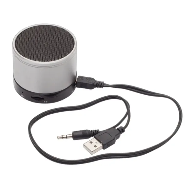 PARTYBEAT speaker with FM radio Silver