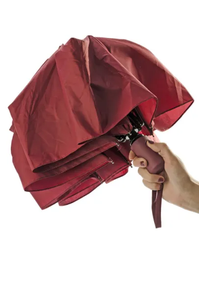 REGO Umbrella Bordo