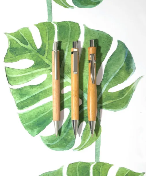  Bamboo ballpen Meera