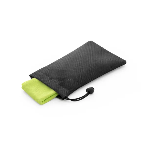 BERNAL Sports towel Light green