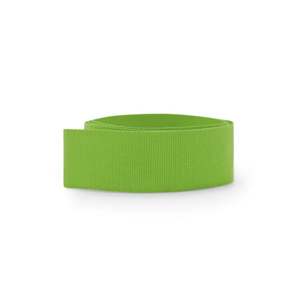 BURTON Ribbon for hat Light green