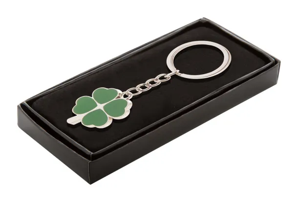 Lucky keyring Green Silver