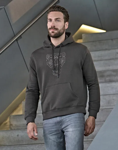  Hoodie, 310 g/m² - Tee Jays