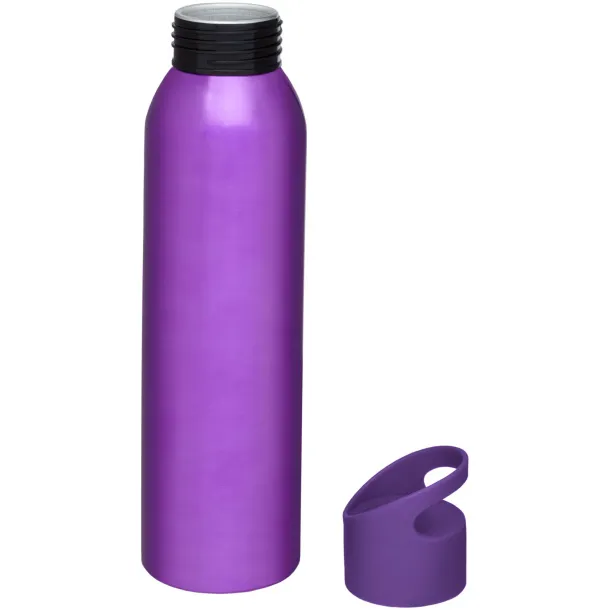 Sky 650 ml sport bottle Purple