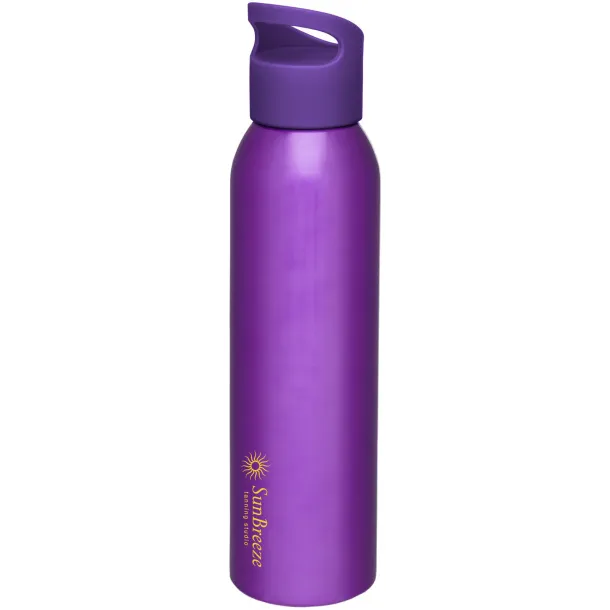 Sky 650 ml sport bottle Purple