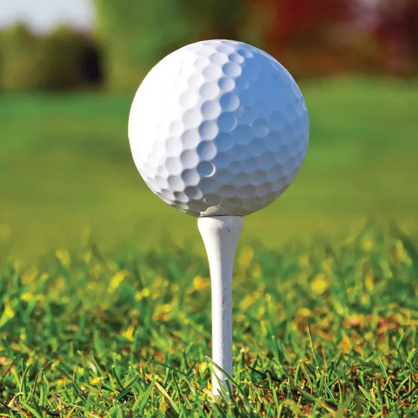 Teren loptica za golf Bijela