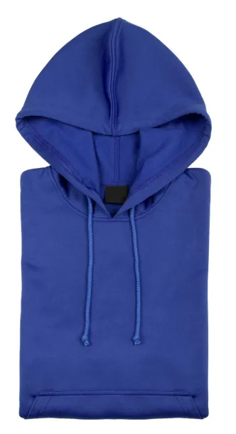 Theon hooded sweatshirt Blue