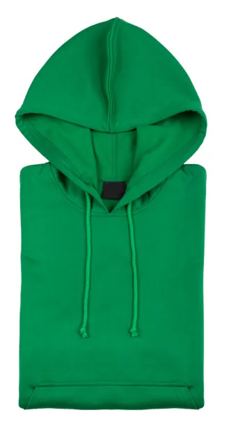 Theon hooded sweatshirt Green