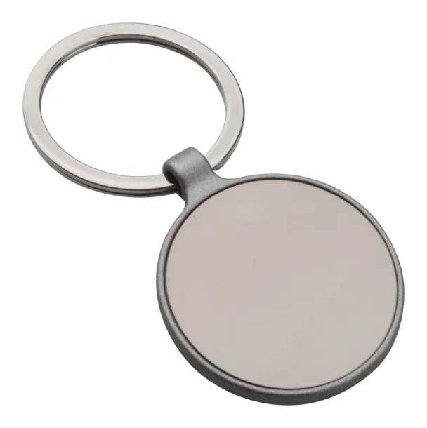 Steyr keyring Grey