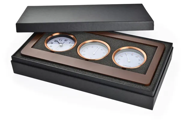 METEOR Weather station Smeđa