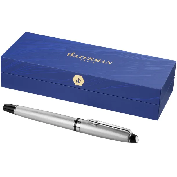 Expert rollerball pen - Waterman Steel