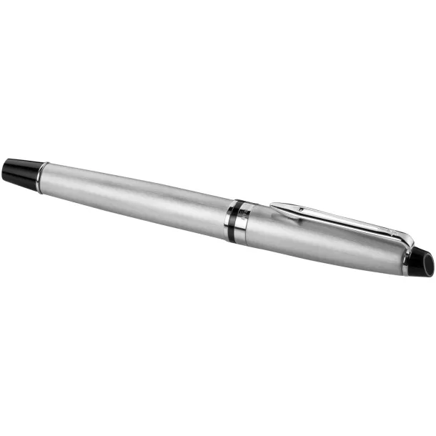 Expert rollerball pen - Waterman Stainless steel
