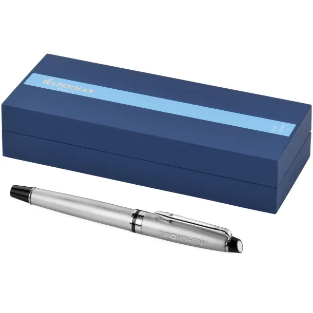 Expert rollerball pen - Waterman Steel