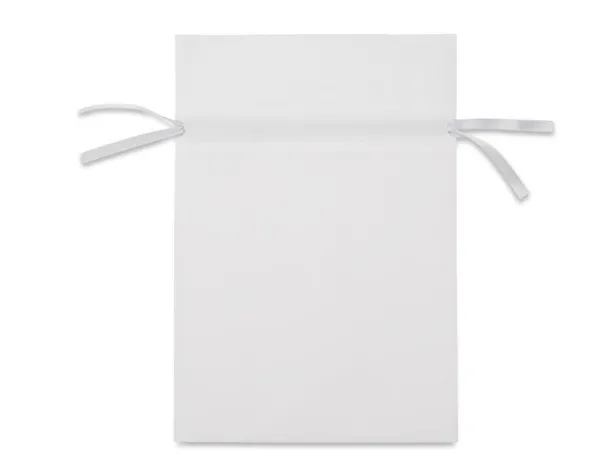 SACULI L Gift bag Silver