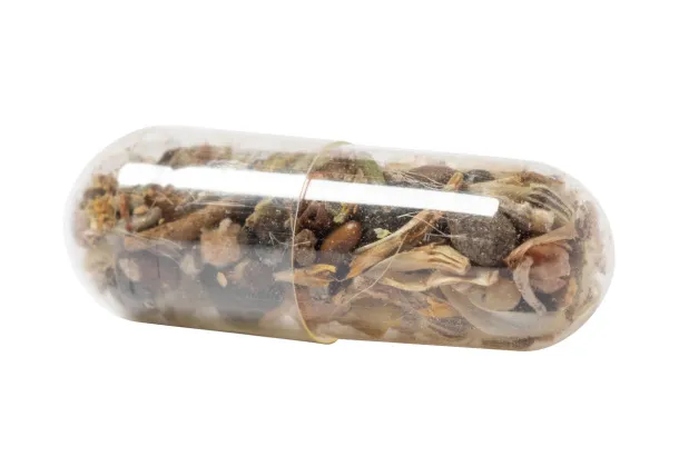 Flocca flower seed capsule Natural