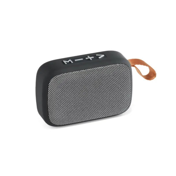 GANTE Speaker with microphone Grey