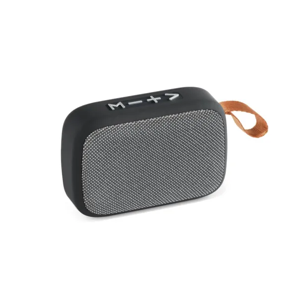 GANTE Speaker with microphone Grey