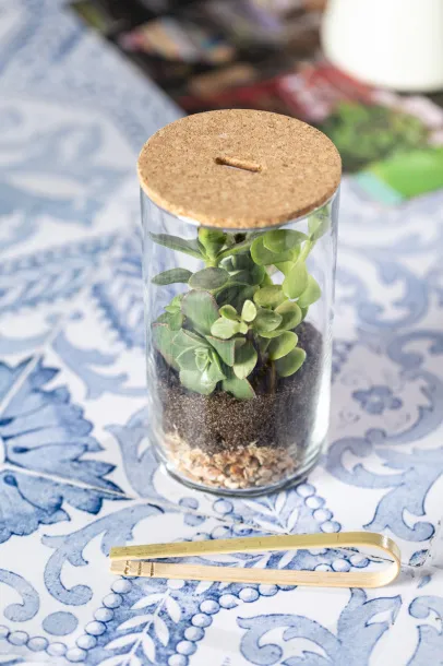 Anymak terrarium Natural