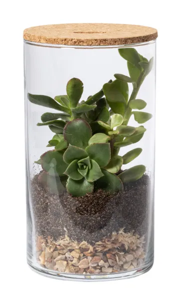 Anymak terrarium Natural