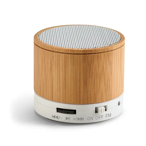 GLASHOW Speaker Natural