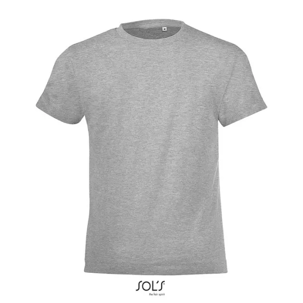 REGENT FIT KIDS TSHIRT-150g Grey Melange