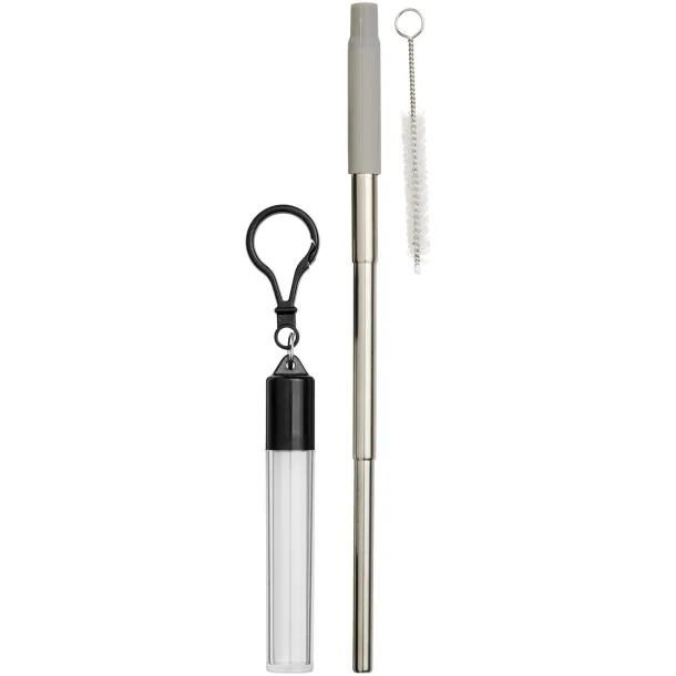 Zeya reusable stainless steel straw keychain - Bullet Grey