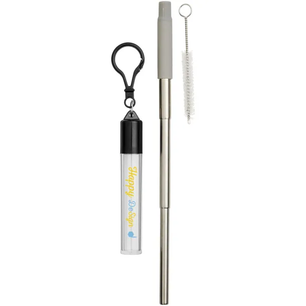 Zeya reusable stainless steel straw keychain - Bullet Grey