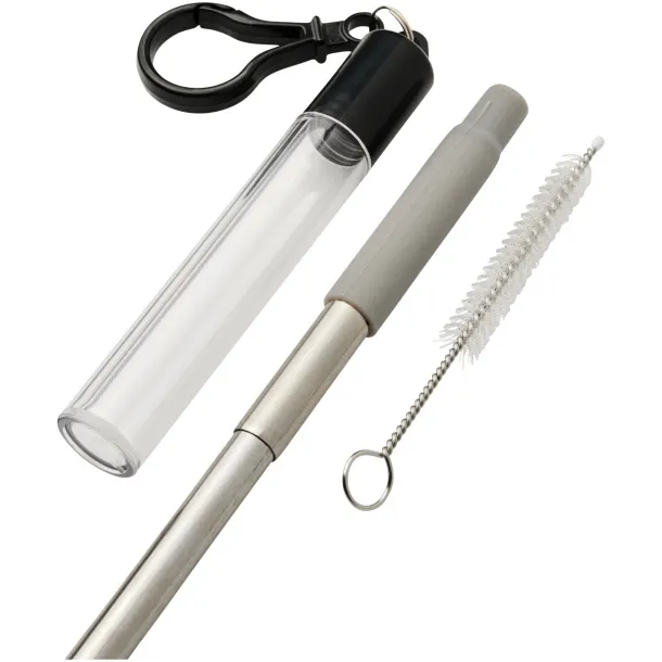 Zeya reusable stainless steel straw keychain - Bullet Grey