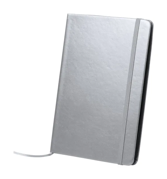 Bodley notebook Silver