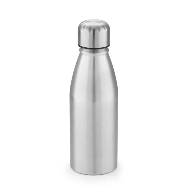 BEANE Sports bottle 500 ml Satin silver