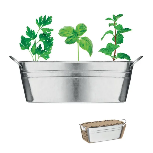 MIX SEEDS Zinc tub with 3 herbs seeds Matt Silver